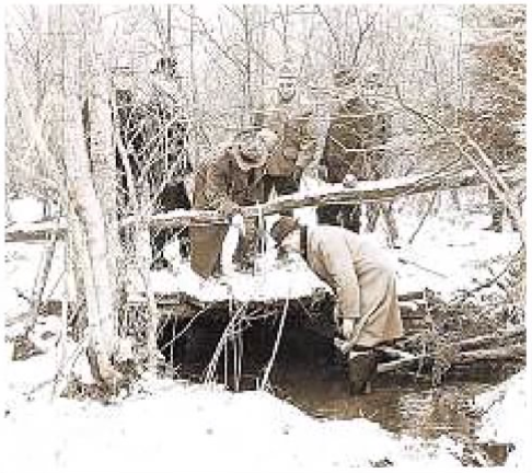 truecrimenepa.wordpress.com